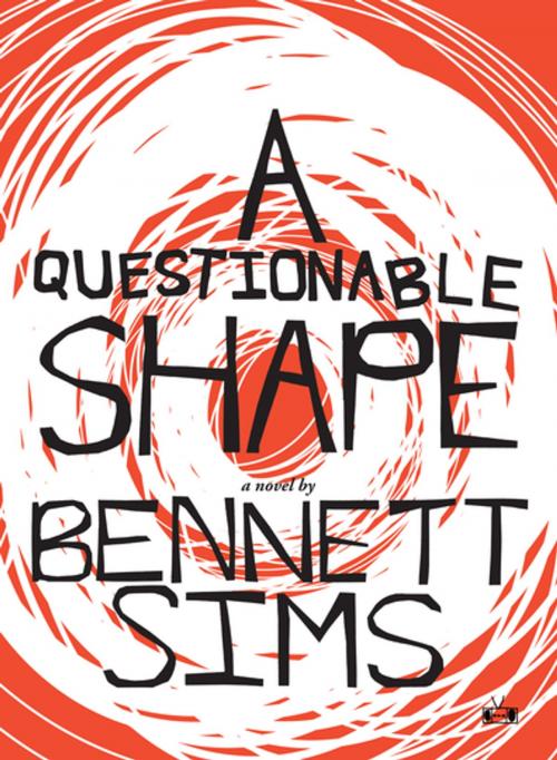 Cover of the book A Questionable Shape by Bennett Sims, Two Dollar Radio