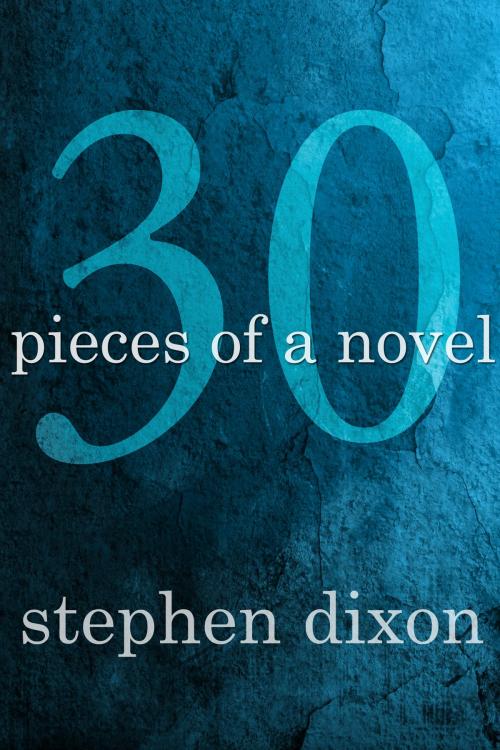 Cover of the book 30 Pieces of a Novel by Stephen Dixon, Dzanc Books