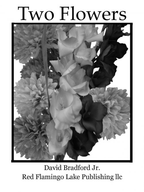 Cover of the book Two Flowers by David Bradford Jr., Red Flamingo Lake Publishing llc