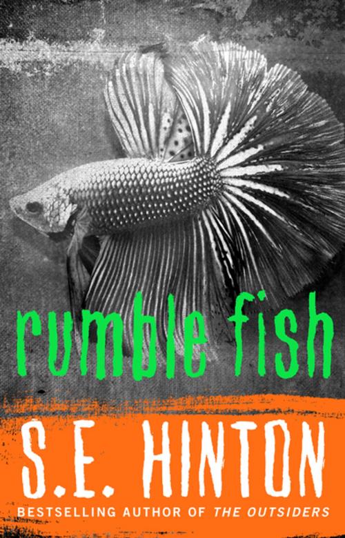 Cover of the book Rumble Fish by S.E. Hinton, Diversion Books