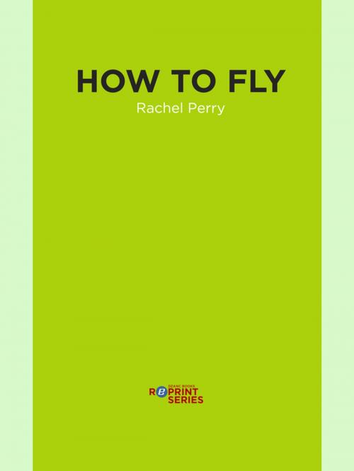 Cover of the book How to Fly by Rachael Perry, Dzanc Books