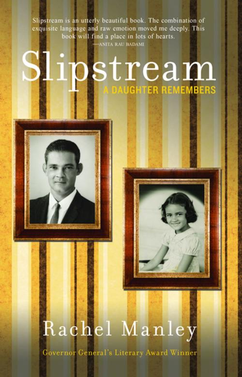 Cover of the book Slipstream by Rachel Manley, Dzanc Books