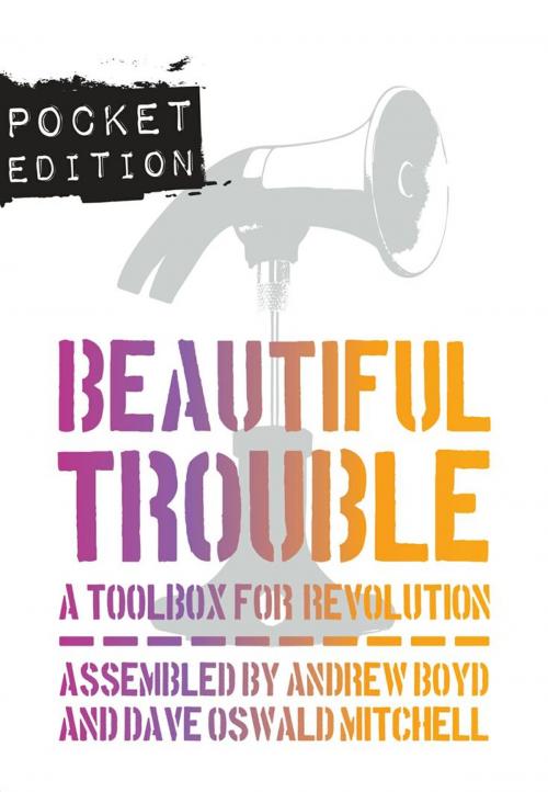 Cover of the book Beautiful Trouble: A Toolbox for Revolution by , OR Books