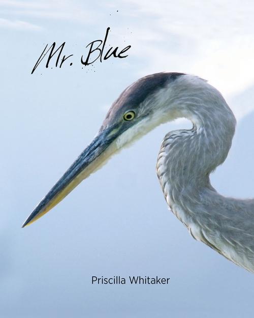Cover of the book Mr. Blue by Priscilla Whitaker, BQB Publishing