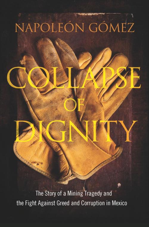Cover of the book Collapse of Dignity by Napoleón Gómez, BenBella Books