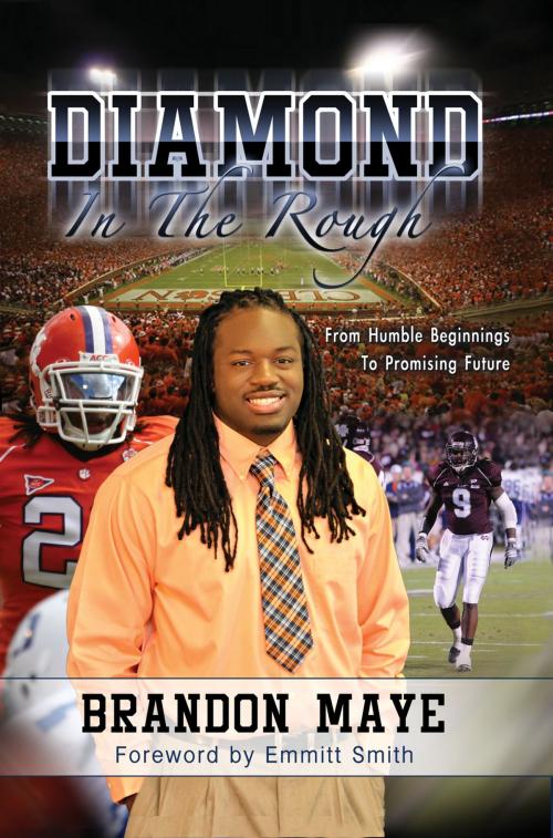 Cover of the book Diamond in the Rough by Brandon Maye, Spirit Reign Communication