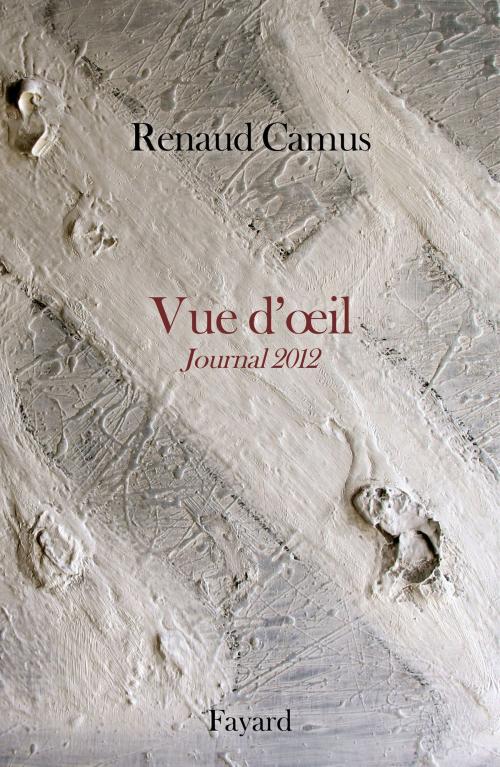Cover of the book Vue d'oeil by Renaud Camus, Fayard