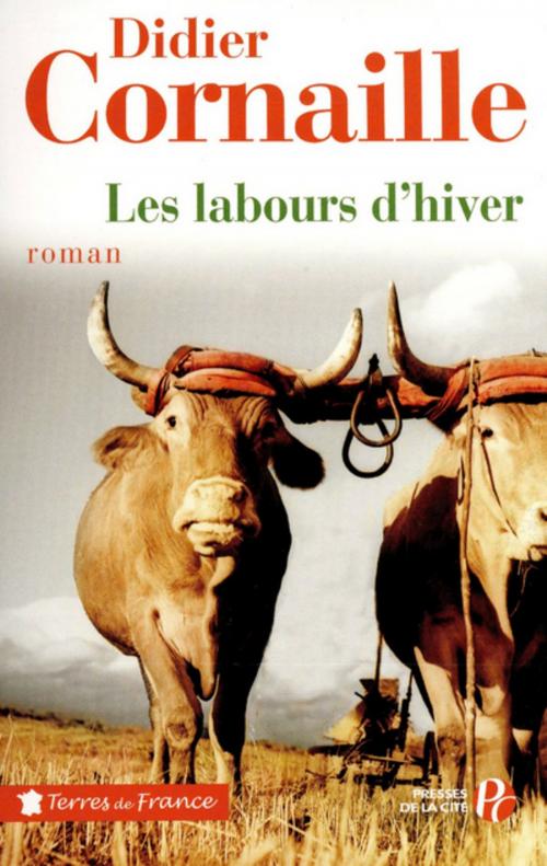 Cover of the book Les labours d'hiver by Didier CORNAILLE, Place des éditeurs
