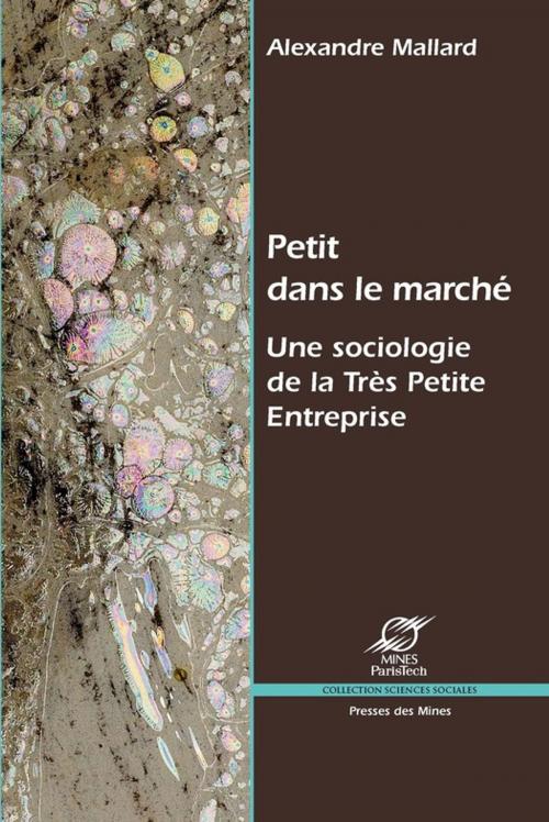 Cover of the book Petit dans le marché by Alexandre Mallard, Presses des Mines via OpenEdition