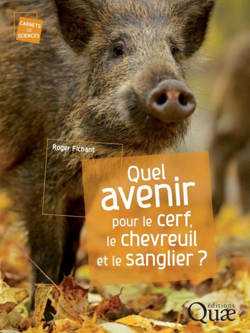 Cover of the book Quel avenir pour le cerf, le chevreuil et le sanglier ? by Roger Fichant, Quae