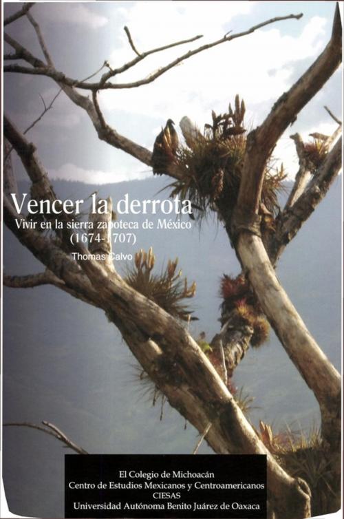 Cover of the book Vencer la derrota by Thomas Calvo, Centro de estudios mexicanos y centroamericanos