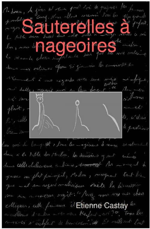 Cover of the book Sauterelles à nageoires by Etienne Castay, Etienne Castay
