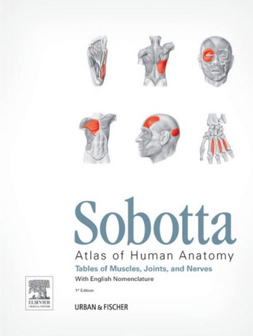 Cover of the book Sobotta Tables of Muscles, Joints and Nerves, English by Friedrich Paulsen, Jens Waschke, Elsevier Health Sciences