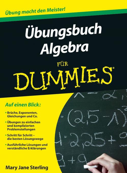 Cover of the book Ubungsbuch Algebra fur Dummies by Mary Jane Sterling, Wiley