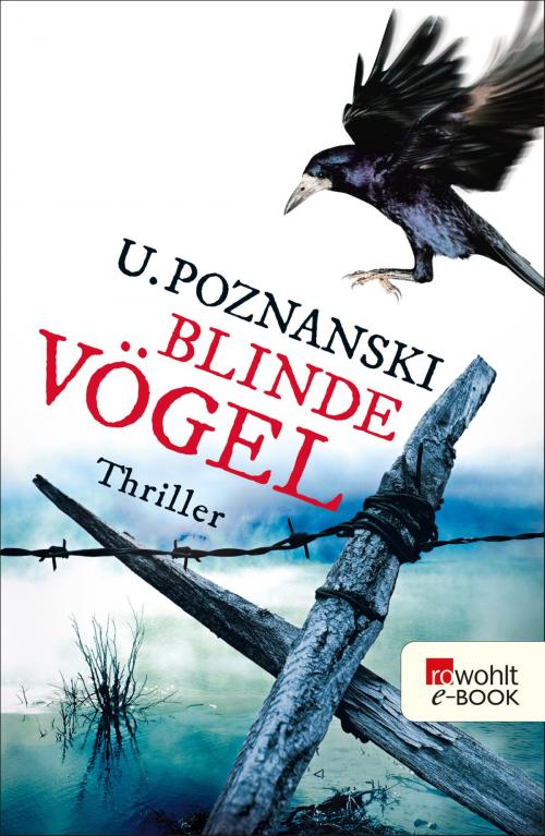 Cover of the book Blinde Vögel by Ursula Poznanski, Rowohlt E-Book