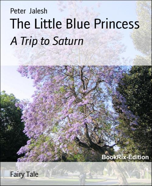 Cover of the book The Little Blue Princess by Peter Jalesh, BookRix