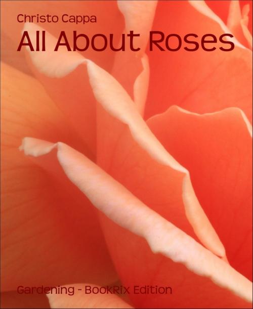 Cover of the book All About Roses by Christo Cappa, BookRix