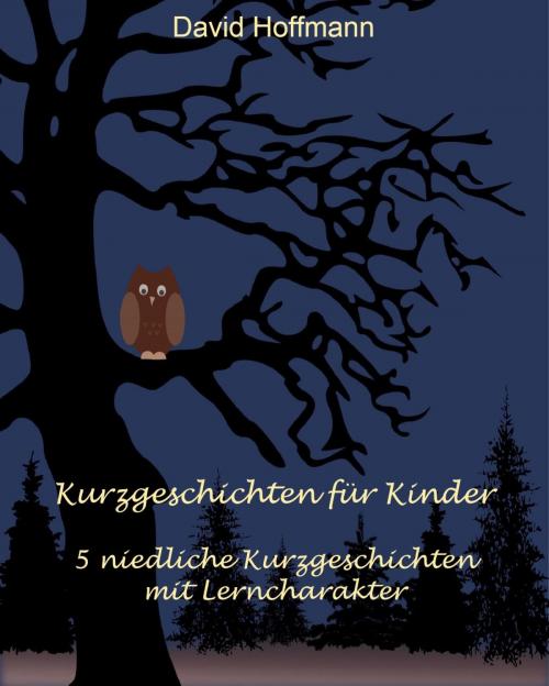 Cover of the book Kurzgeschichten für Kinder by David Hoffmann, neobooks