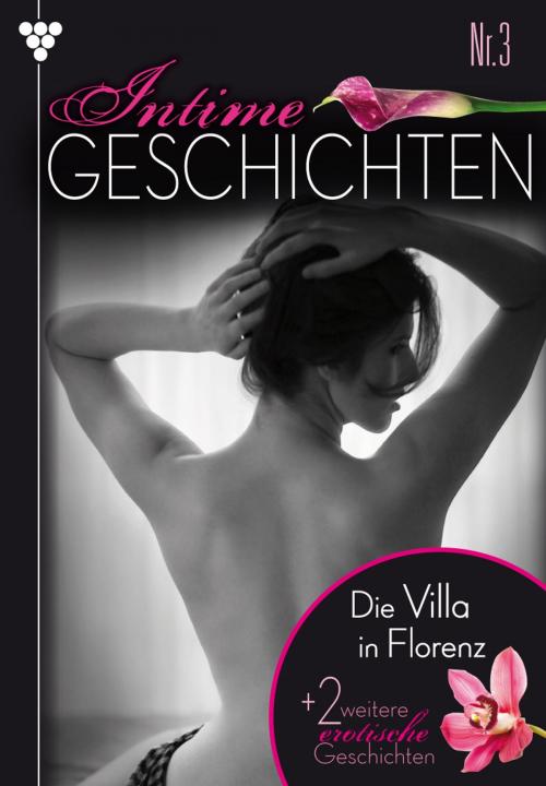 Cover of the book Intime Geschichten 3 – Erotikroman by Susan Perry, Kelter Media