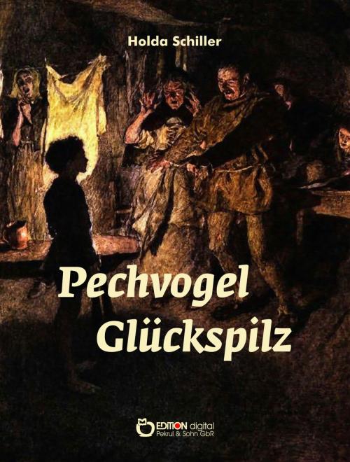 Cover of the book Pechvogel Glückspilz by Holda Schiller, EDITION digital