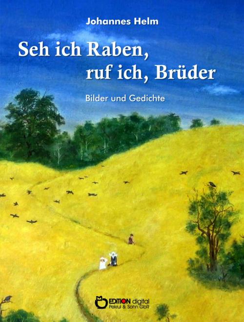Cover of the book Seh ich Raben, ruf ich, Brüder by Johannes Helm, EDITION digital