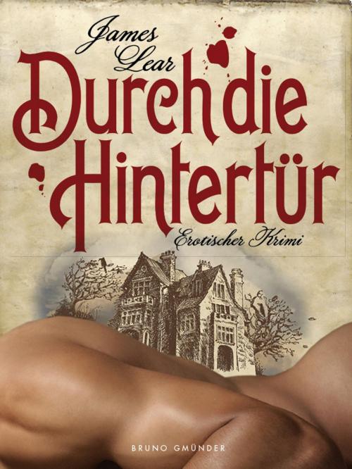 Cover of the book Durch die Hintertür. Erotischer Krimi by James Lear, Bruno Gmünder Verlag