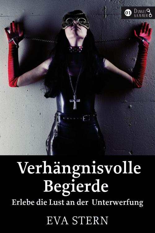 Cover of the book Verhängnisvolle Begierde by Eva Stern, SALAX