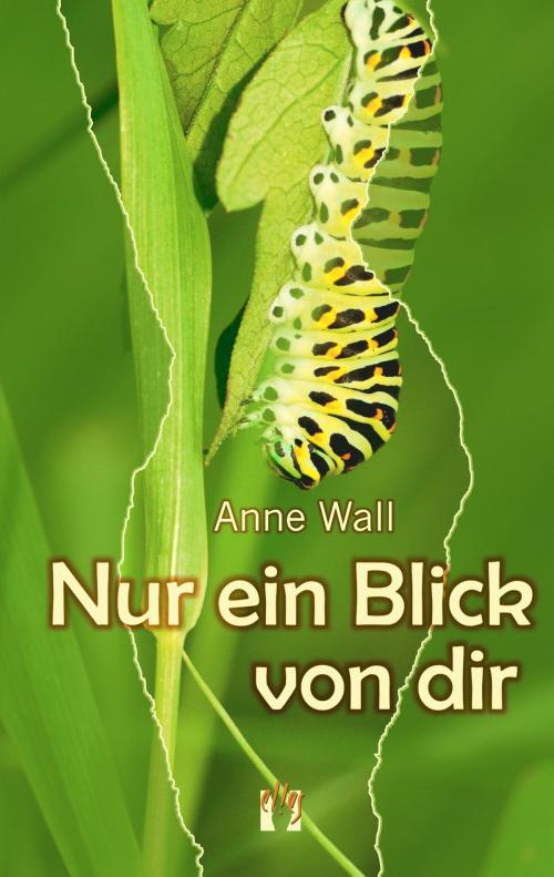 Cover of the book Nur ein Blick von dir by Anne Wall, édition el!es