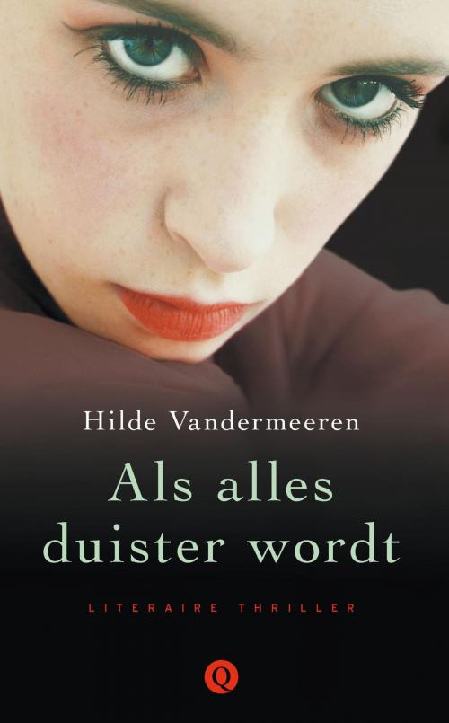 Cover of the book Als alles duister wordt by Hilde Vandermeeren, Singel Uitgeverijen