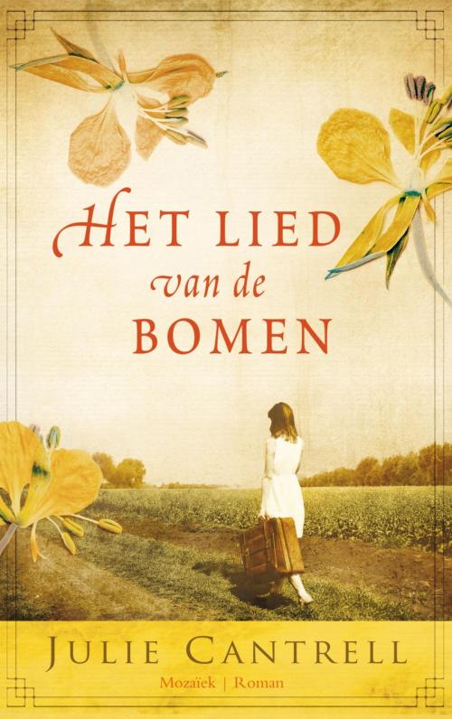 Cover of the book Het lied van de bomen by Julie Cantrell, VBK Media