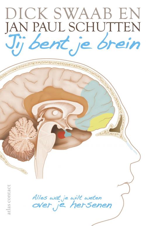 Cover of the book Jij bent je brein by D.F. Swaab, Jan Paul Schutten, Atlas Contact, Uitgeverij