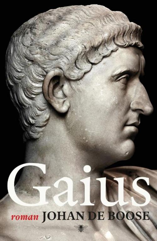 Cover of the book Gaius by Johan de Boose, Bezige Bij b.v., Uitgeverij De