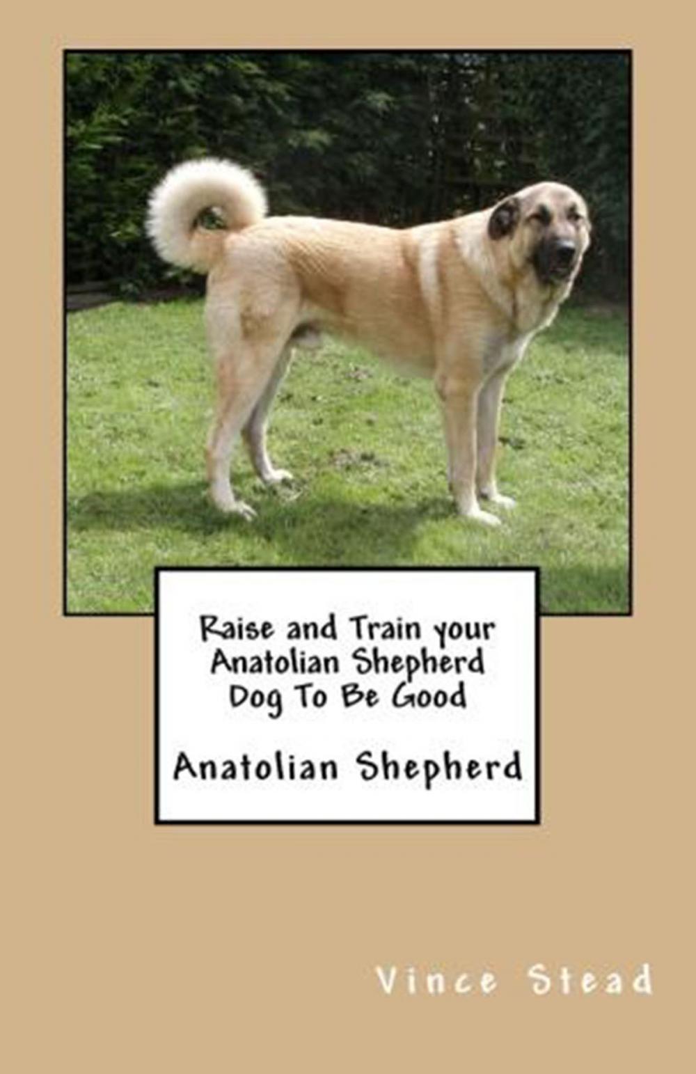 Big bigCover of Raise and Train your Anatolian Shepherd Dog To Be Good