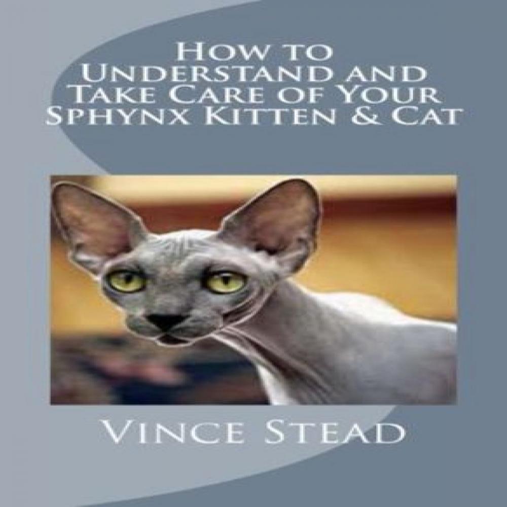 Big bigCover of How to Understand and Take Care of Your Sphynx Kitten & Cat