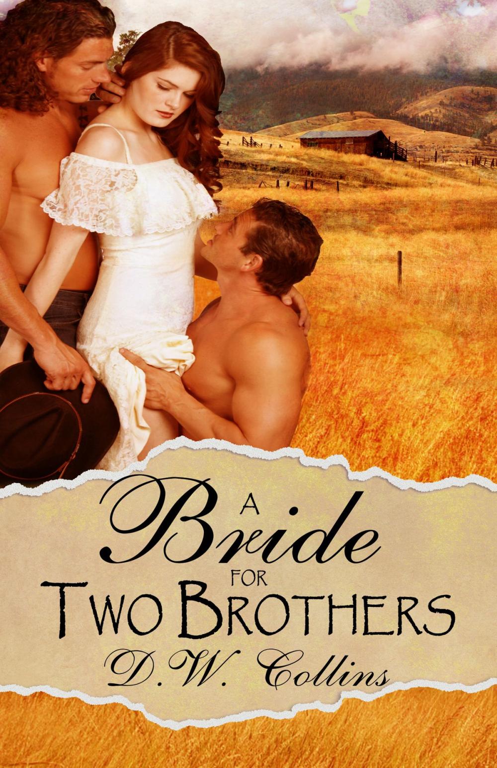 Big bigCover of A Bride for Two Brothers
