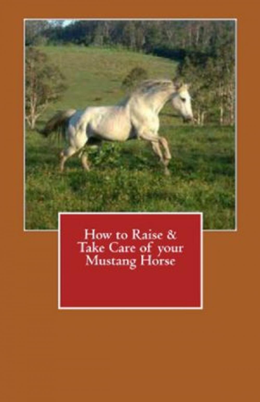 Big bigCover of How to Raise & Take Care of your Mustang Horse