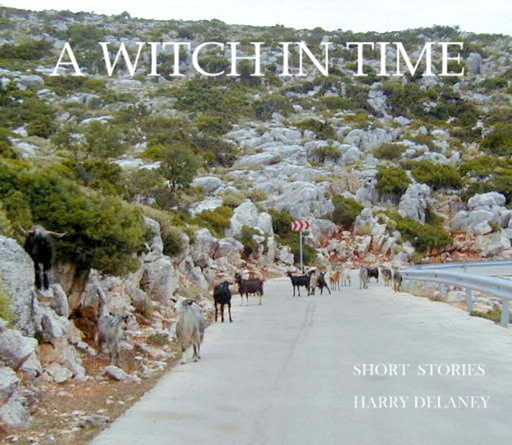 Big bigCover of A WITCH IN TIME