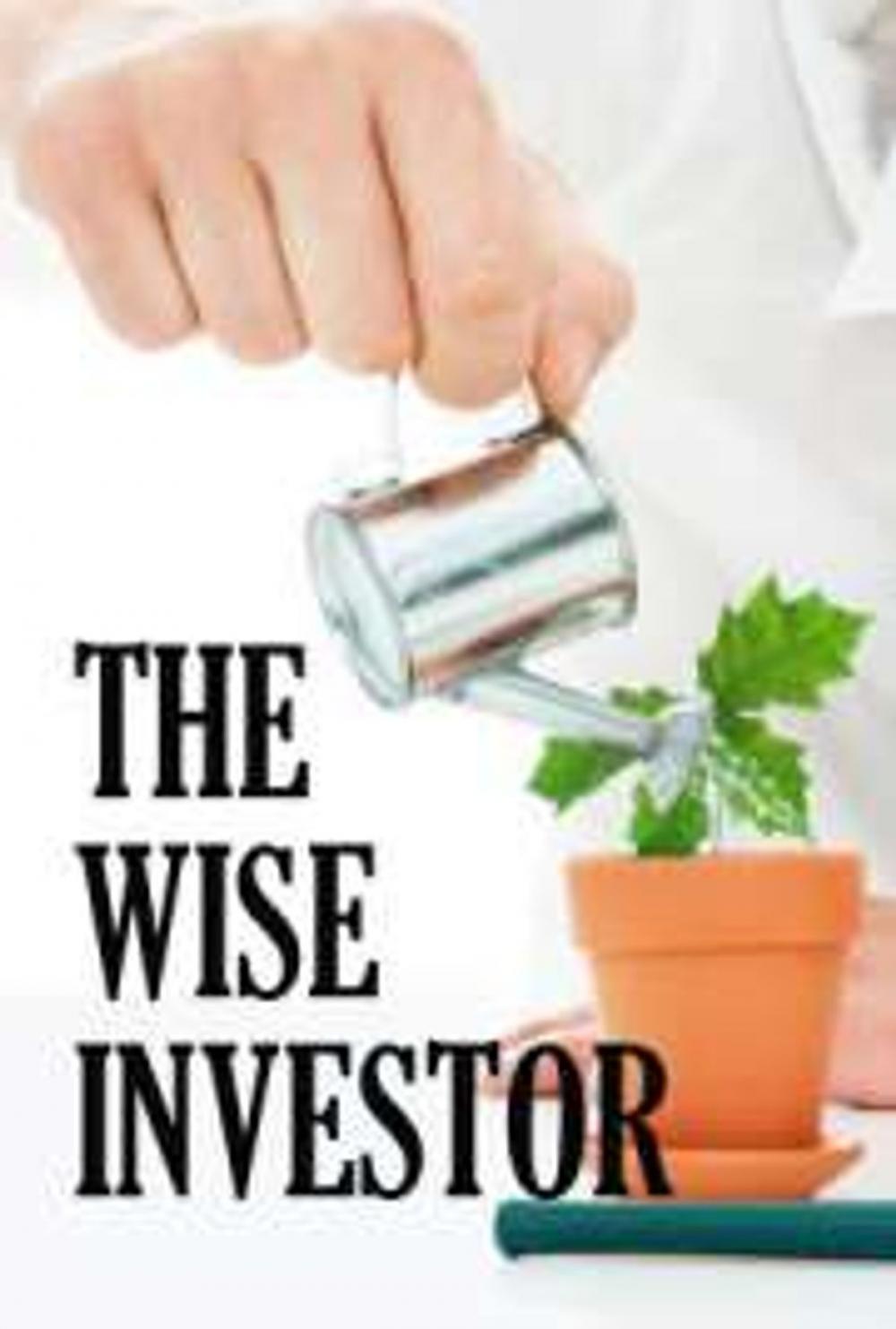 Big bigCover of The Wise Investor