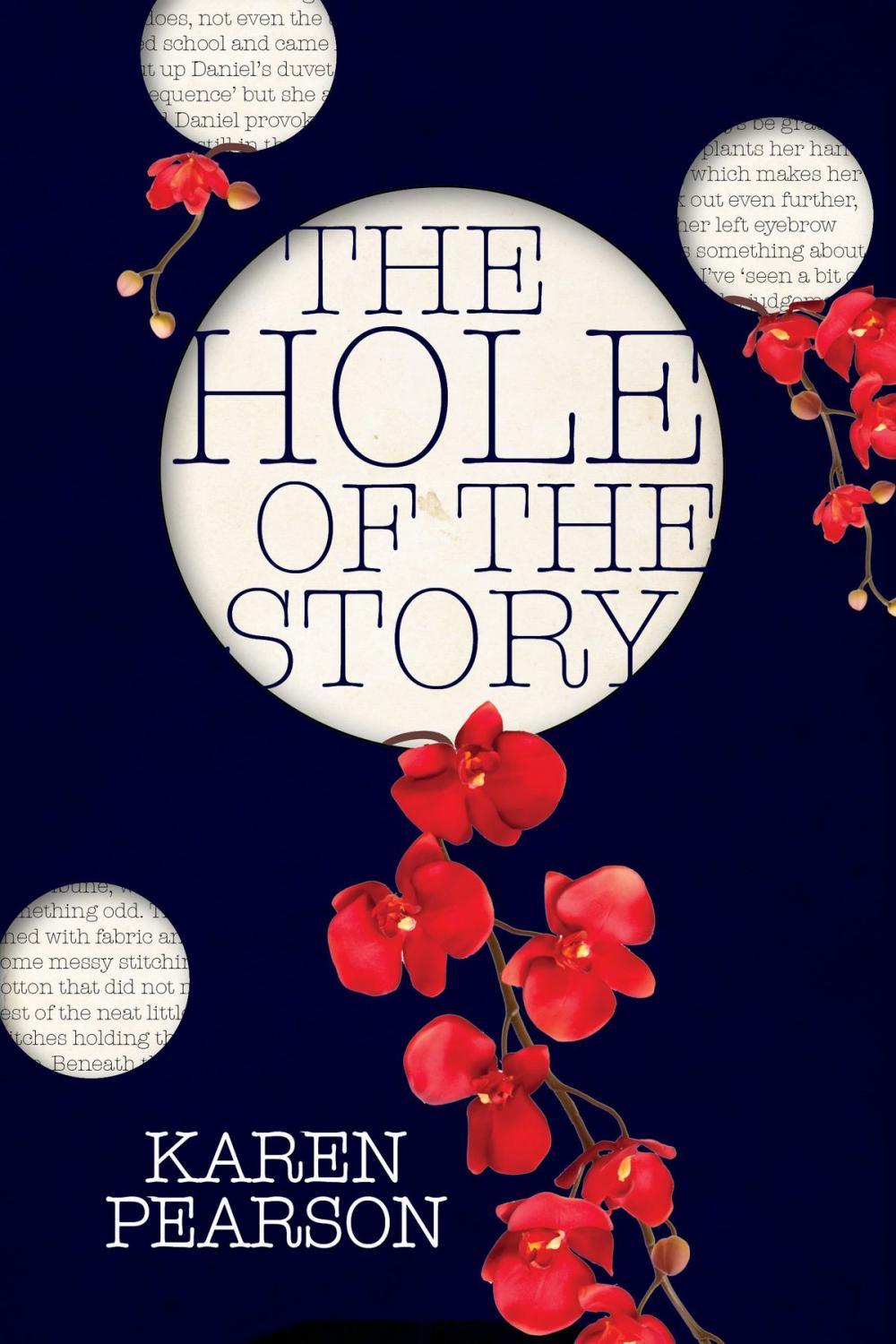Big bigCover of The Hole of the Story