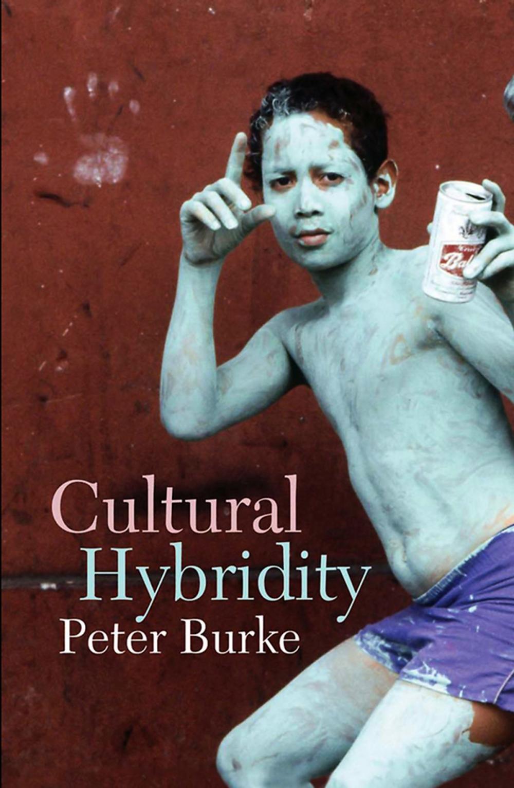 Big bigCover of Cultural Hybridity