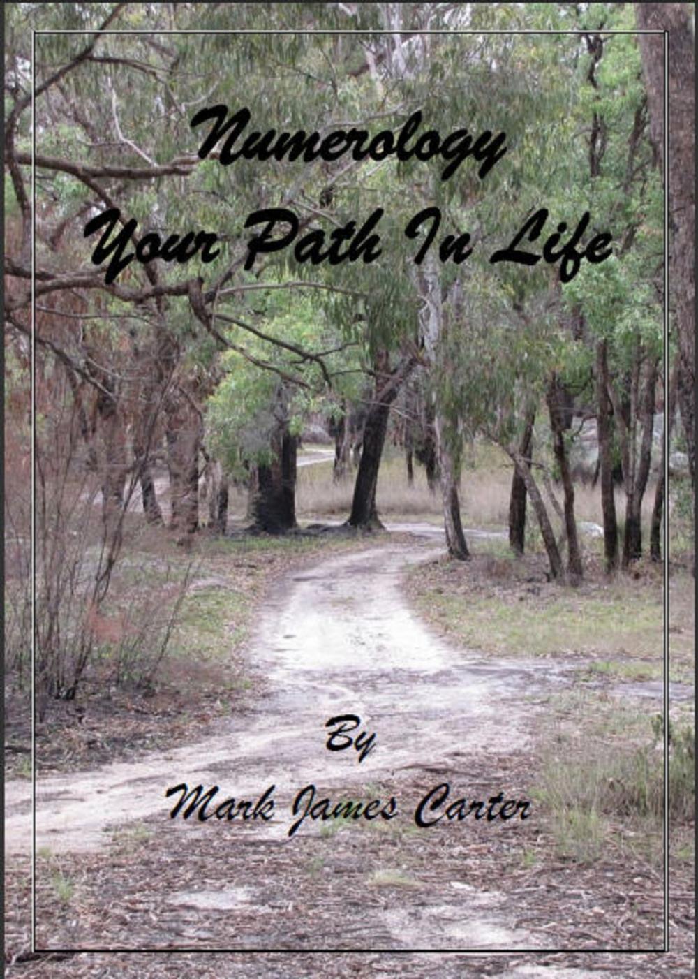 Big bigCover of Numerology Your Path In Life