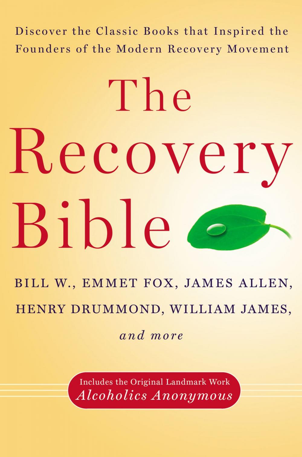 Big bigCover of The Recovery Bible