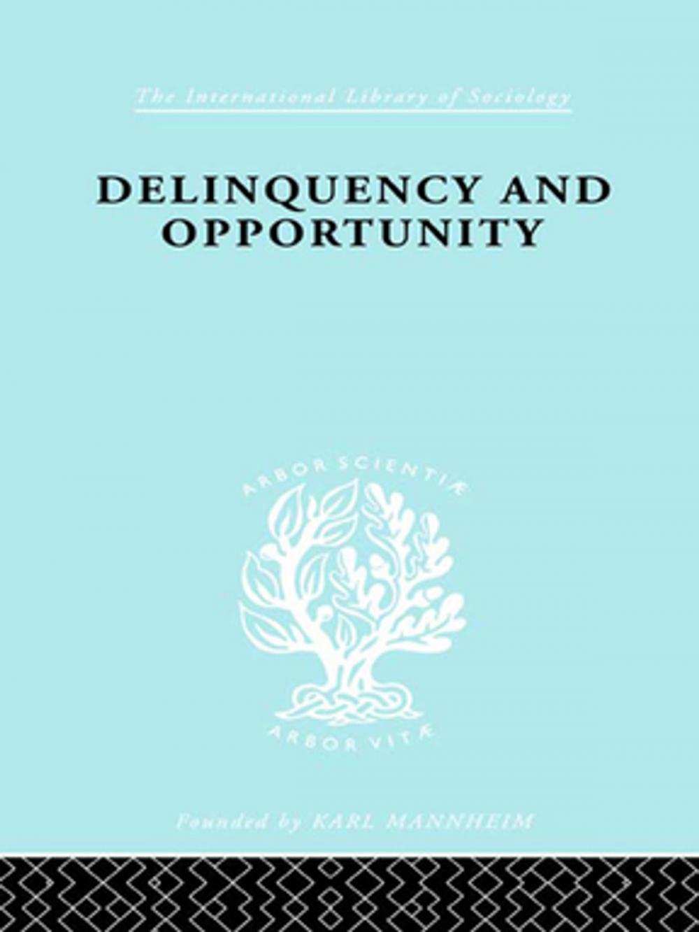 Big bigCover of Delinquency and Opportunity