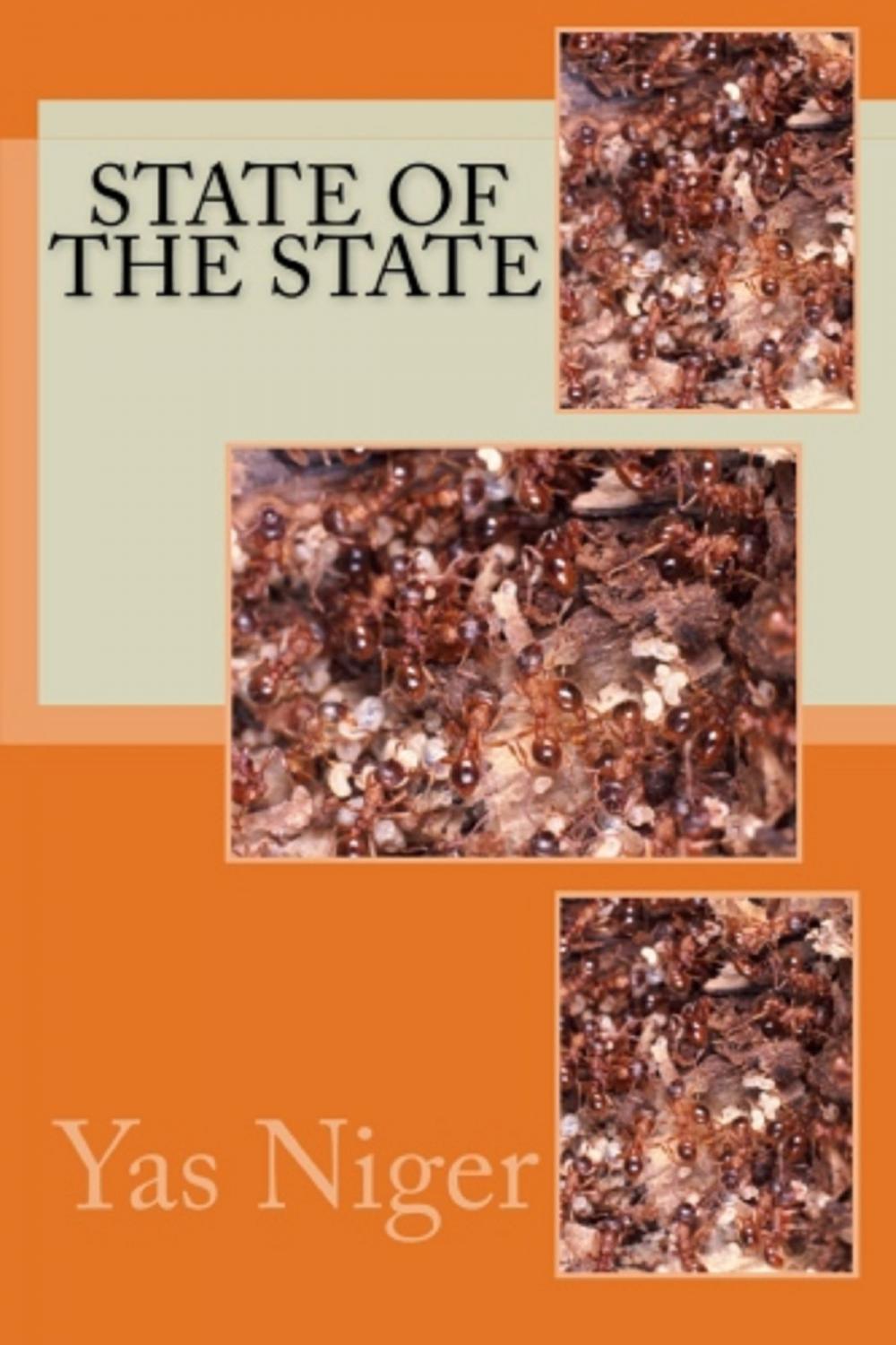 Big bigCover of State of the State