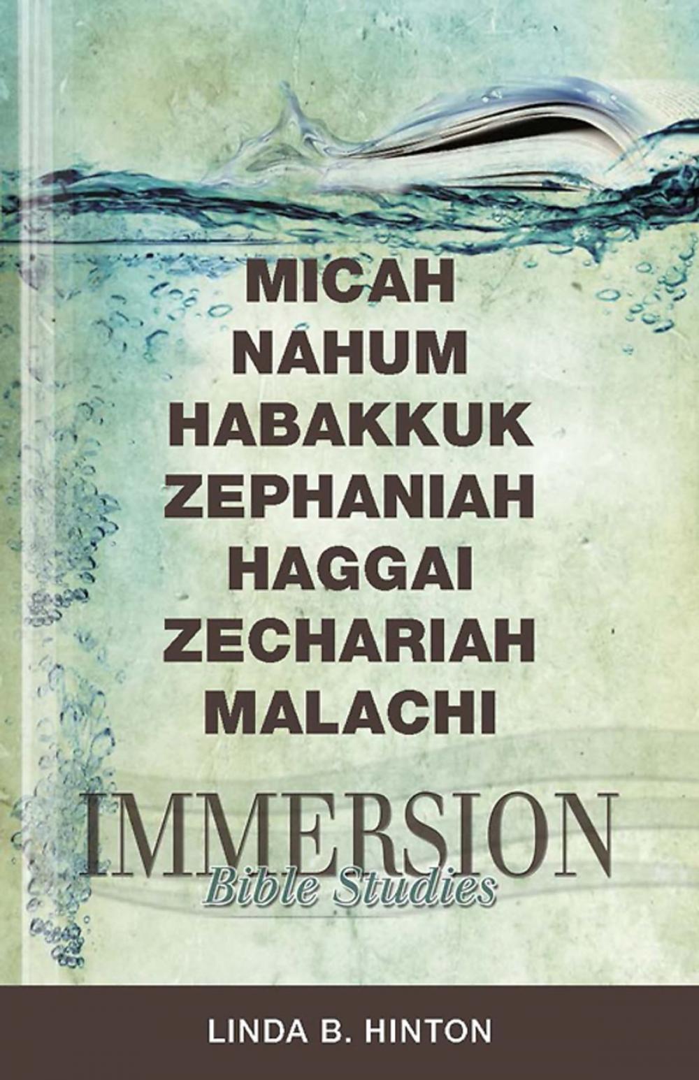 Big bigCover of Immersion Bible Studies: Micah, Nahum, Habakkuk, Zephaniah, Haggai, Zechariah, Malachi