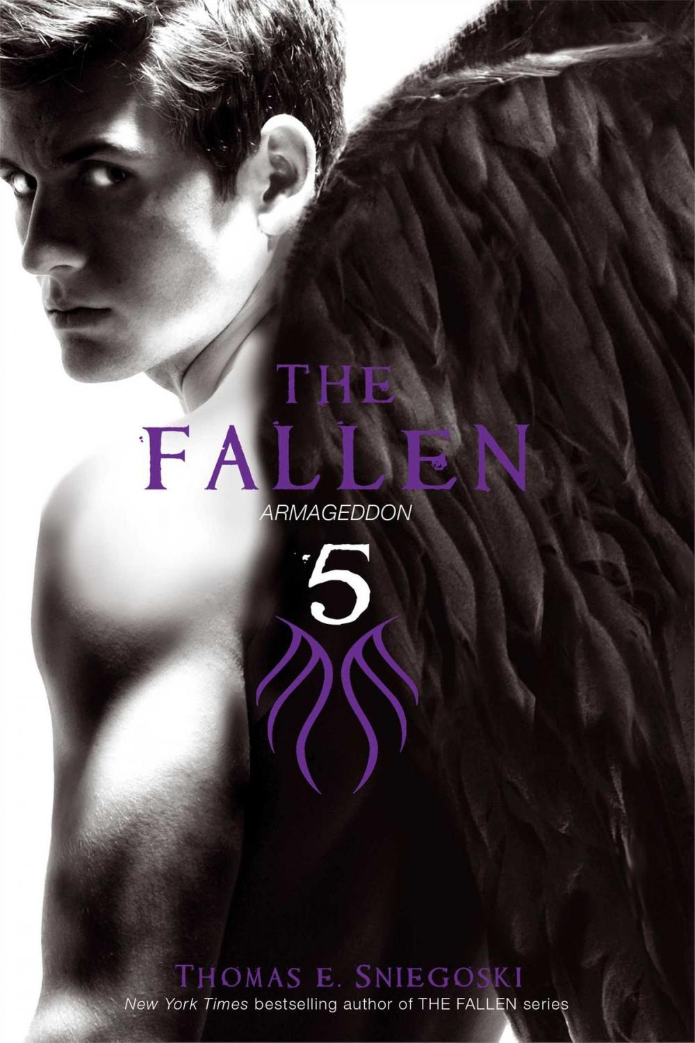 Big bigCover of The Fallen 5