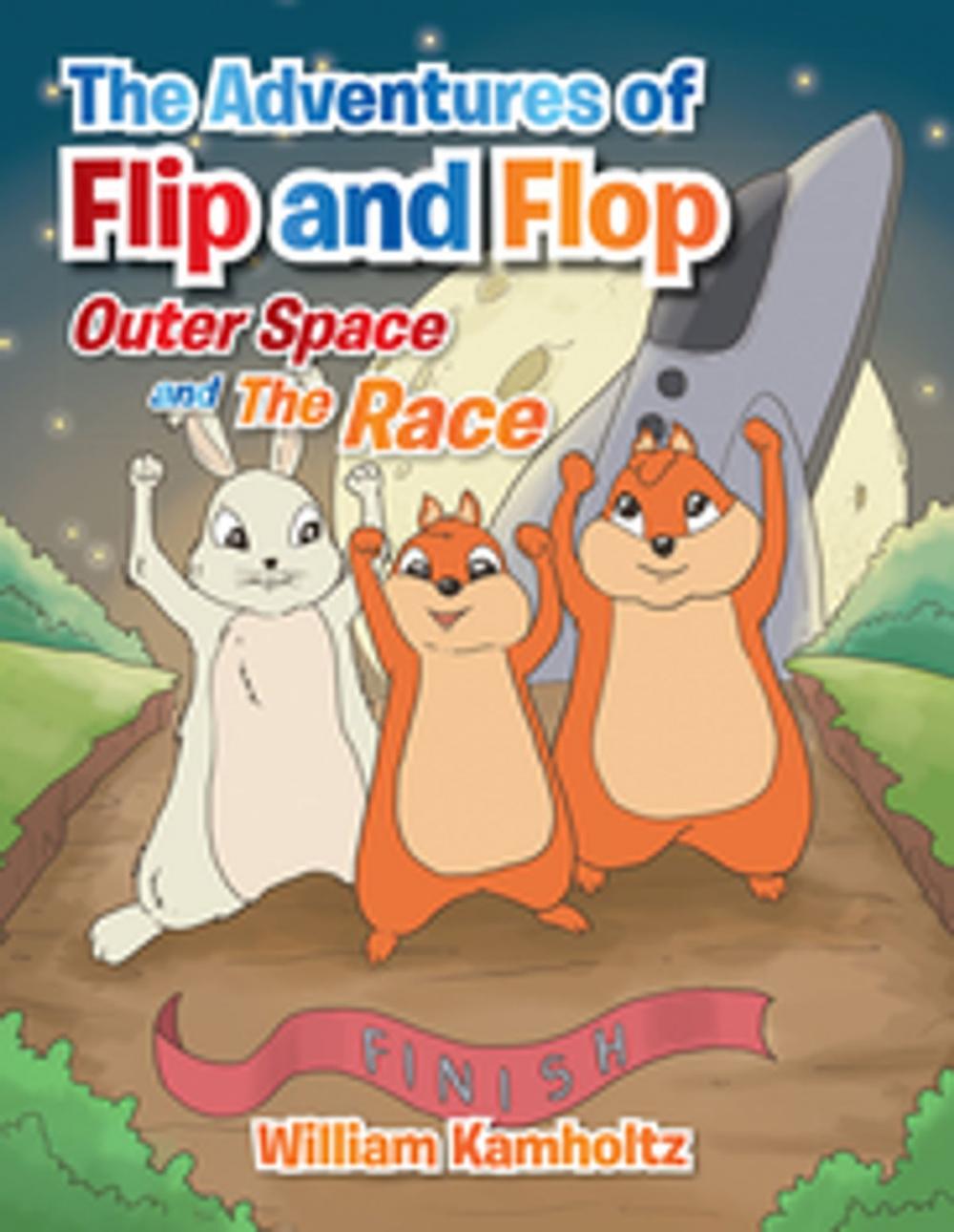 Big bigCover of The Adventures of Flip and Flop