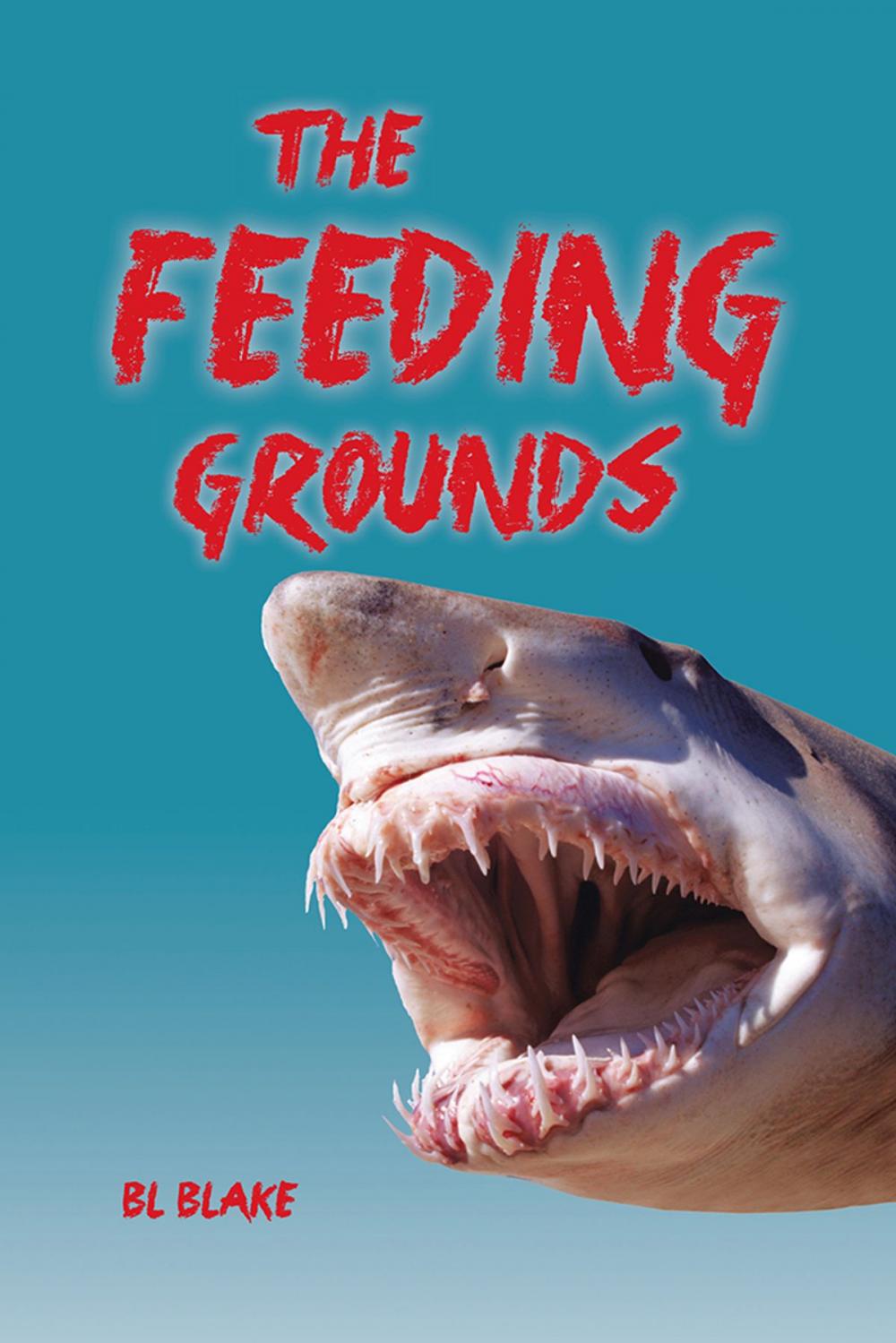 Big bigCover of The Feeding Grounds