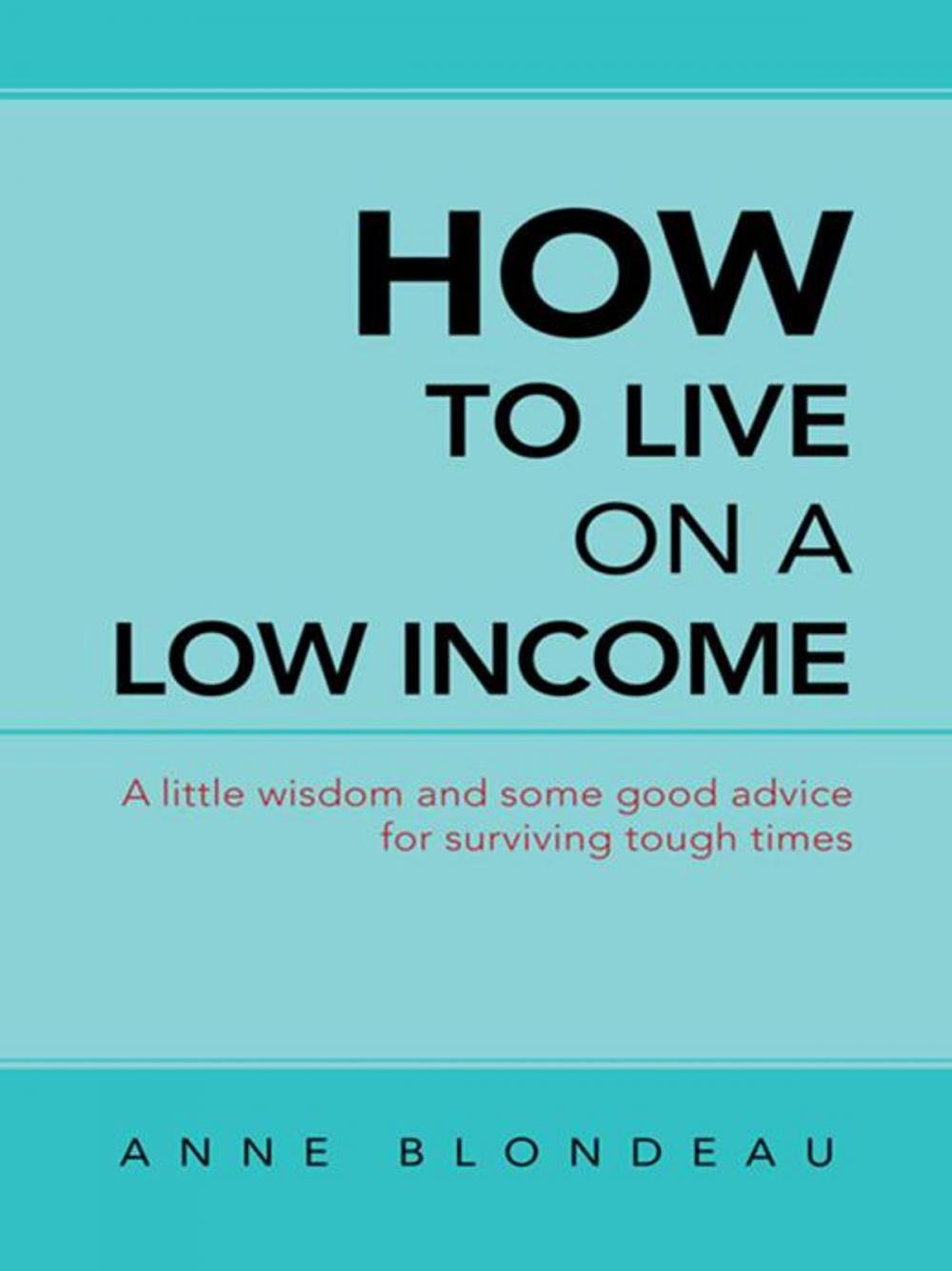 Big bigCover of How to Live on a Low Income