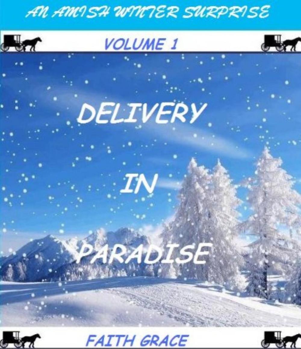 Big bigCover of Amish Winter Surprise: Delivery in Paradise